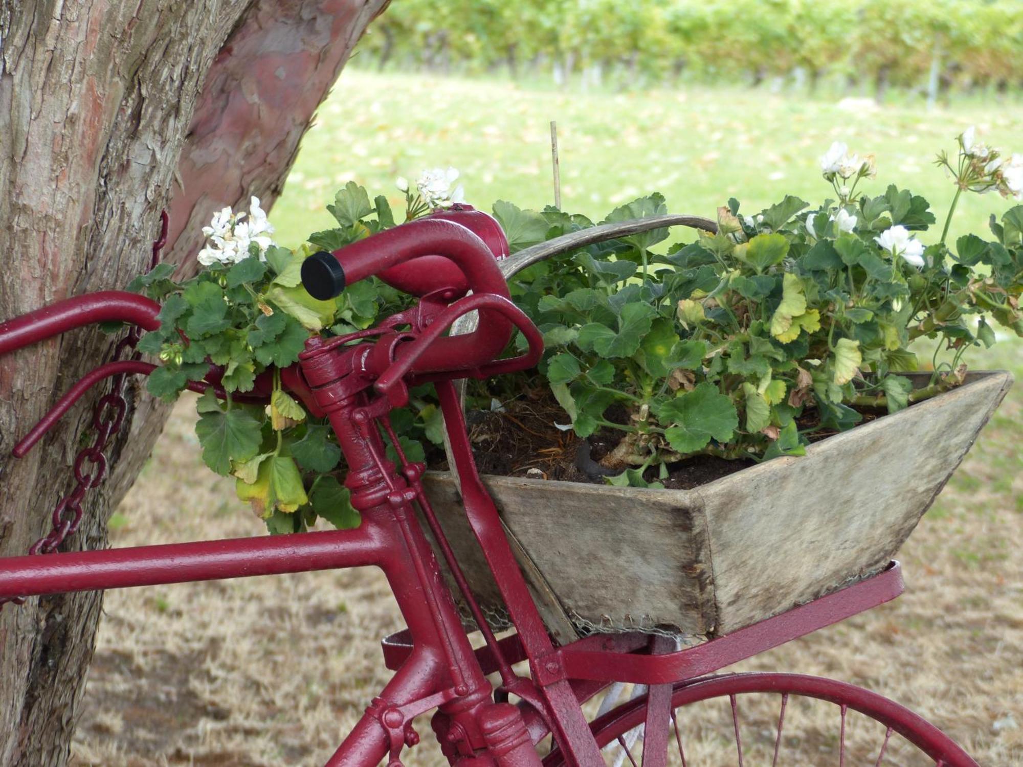 Saint-Fort-sur-Gironde L'Alambic De L'Estuaire Bed & Breakfast エクステリア 写真