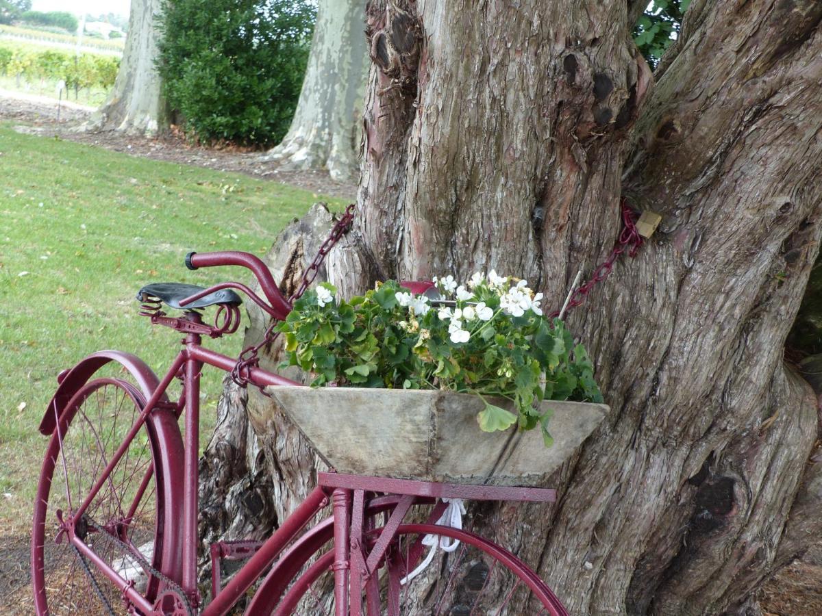 Saint-Fort-sur-Gironde L'Alambic De L'Estuaire Bed & Breakfast エクステリア 写真